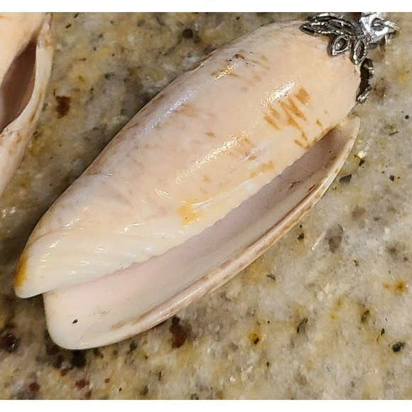 Shell Jewelry. Two Shells on Long Silver Tone Chain Vintage - Picture 4 of 12